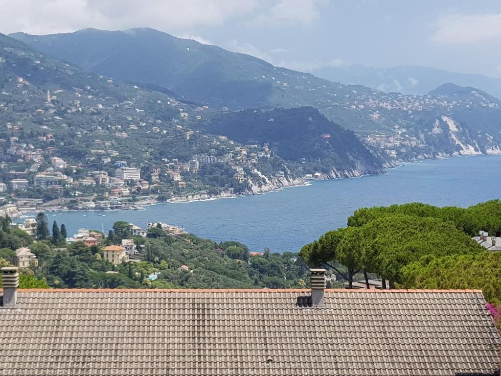 Residence Portofino Est ราปาลโล ภายนอก รูปภาพ